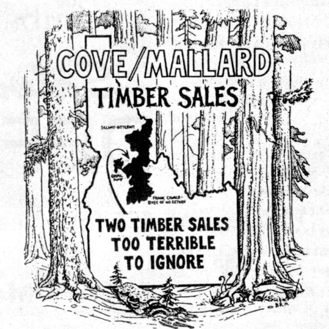 Cove-Mallard square